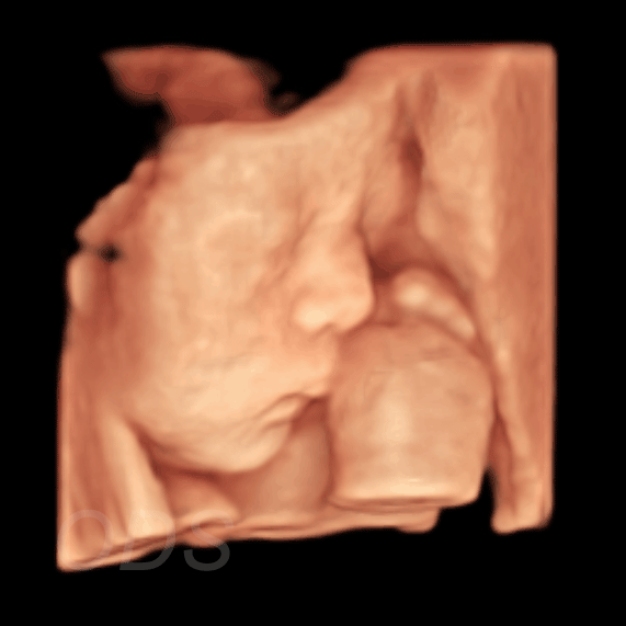 AI Gallery 28