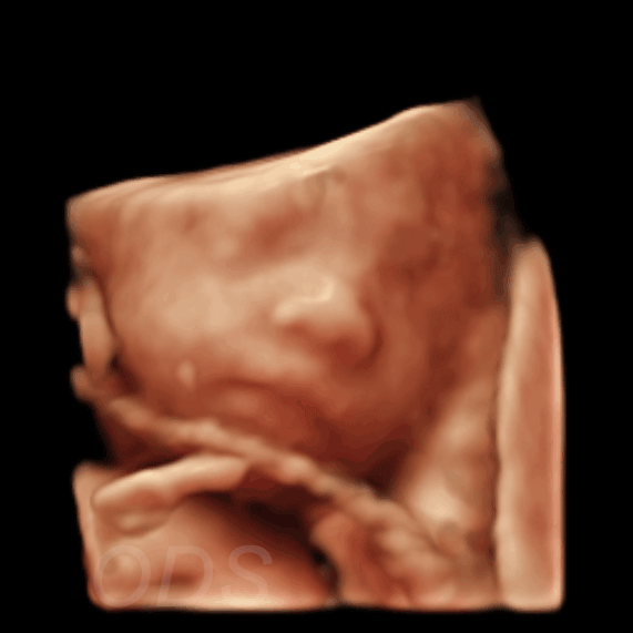 AI Gallery 33