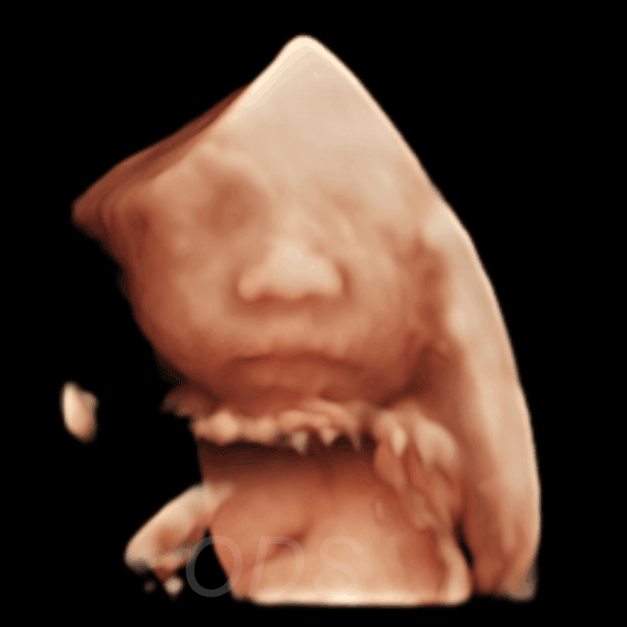 AI Gallery 36
