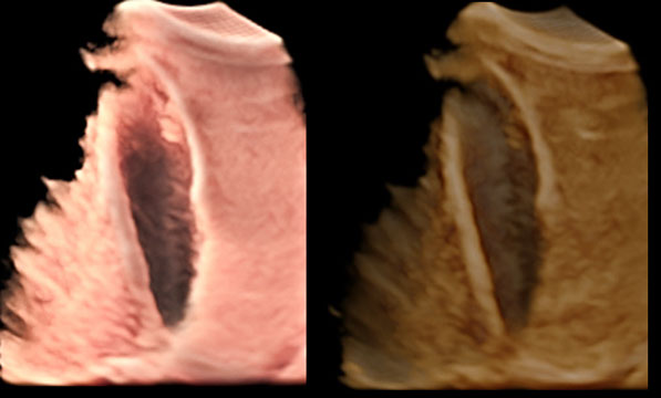 4D Gallery image